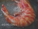 【94 FRESH】紅樹林霸王級黑虎蝦 